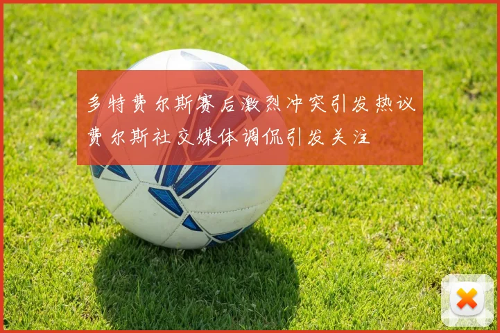 多特费尔斯赛后激烈冲突引发热议费尔斯社交媒体调侃引发关注